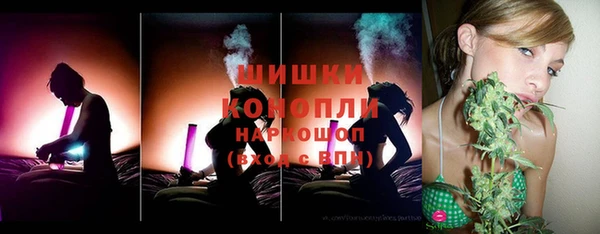 молекула духа Заводоуковск