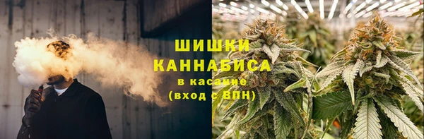 молекула духа Заводоуковск