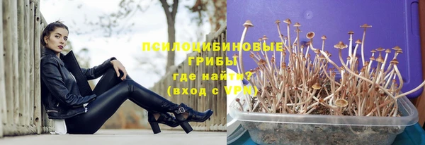 молекула духа Заводоуковск