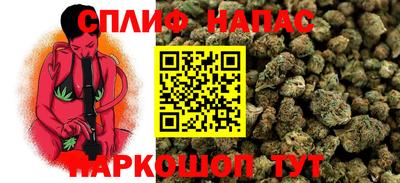 apvp Гай