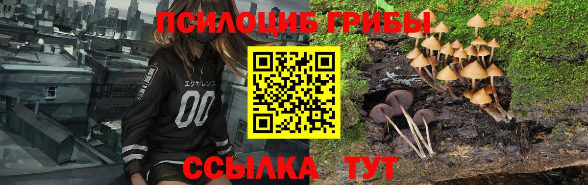 Псилоцибиновые грибы GOLDEN TEACHER  Вход с VPN  Псилоцибиновые грибы MAGIC MUSHROOMS  Россия 