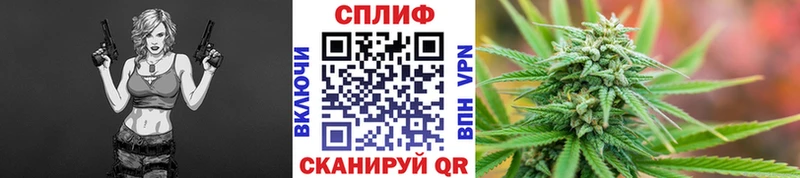 купить наркоту  Астрахань  Каннабис план 